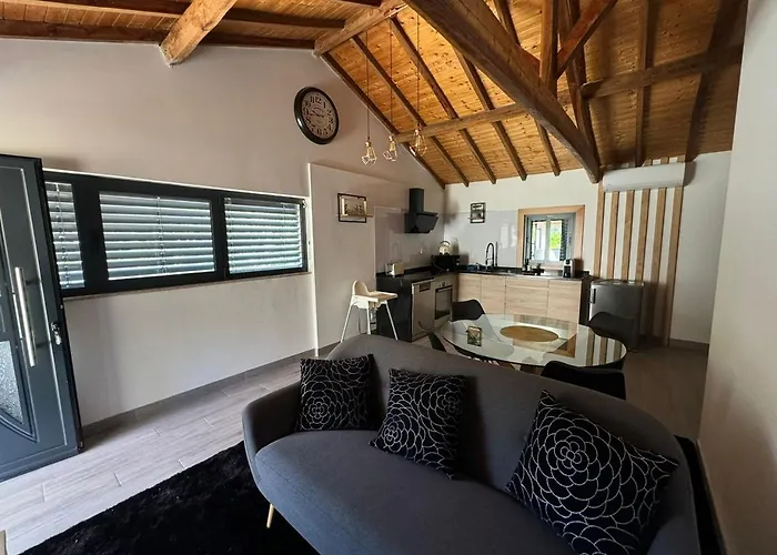 R&f Dreams * 몬딤데바스토